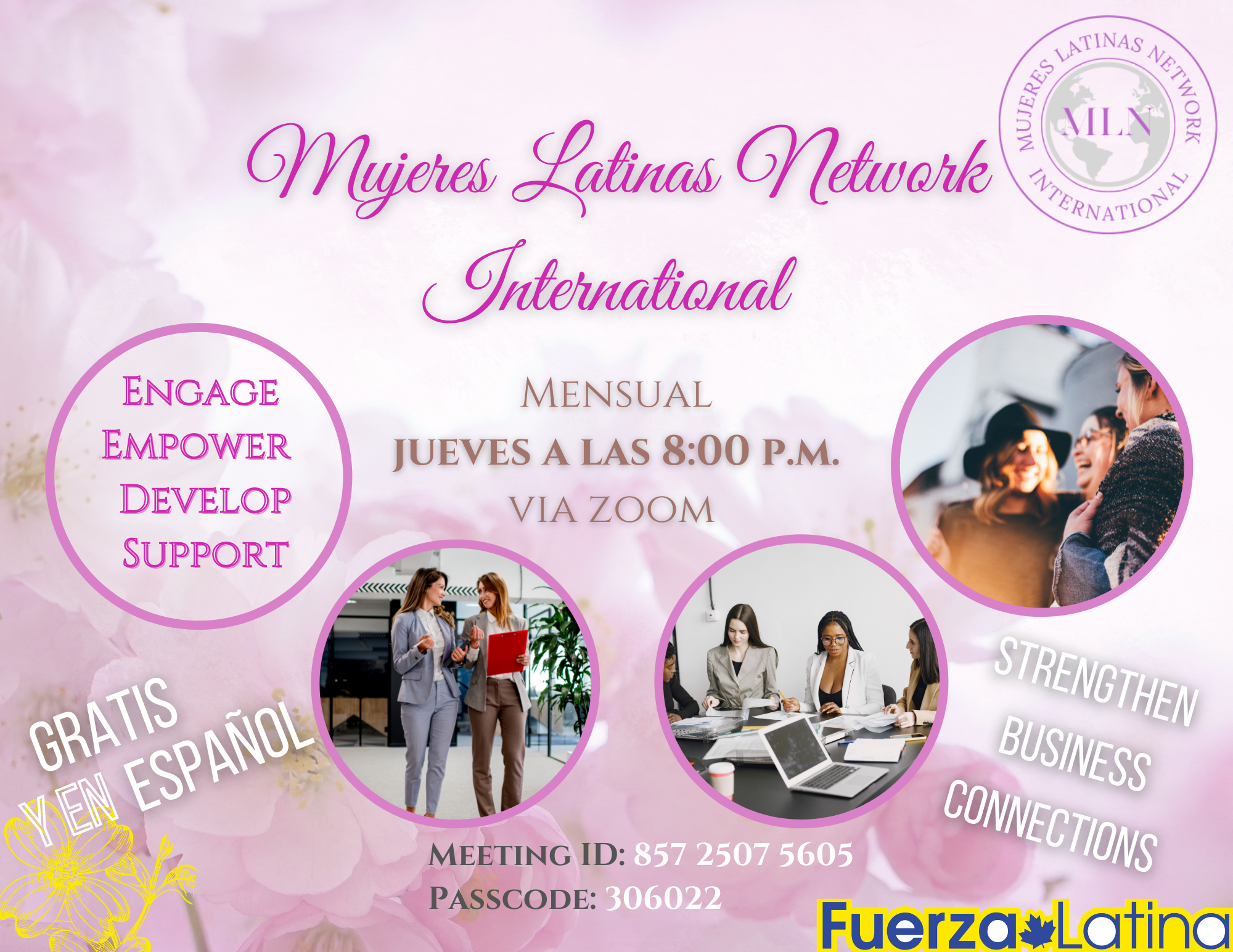 MLN International - New Flyer